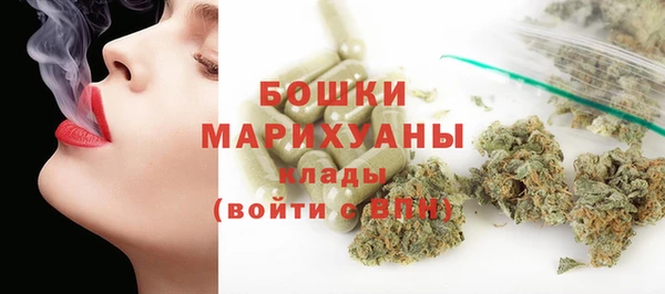 дживик Вязьма