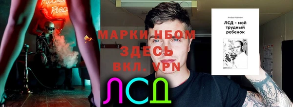 дживик Вязьма