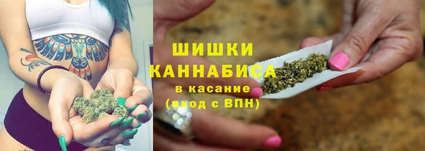 дживик Вязьма