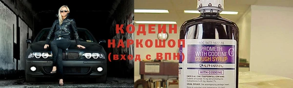 дживик Вязьма