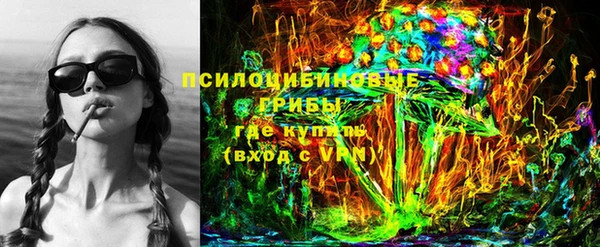 ECSTASY Вяземский