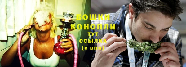 дживик Вязьма